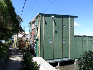 SAMSUNG CAMERA PICTURES