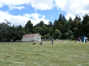 SAMSUNG CAMERA PICTURES