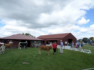 SAMSUNG CAMERA PICTURES