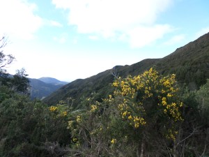 SAMSUNG CAMERA PICTURES