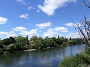 SAMSUNG CAMERA PICTURES