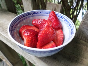 SAMSUNG CAMERA PICTURES