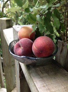 IMG_6368