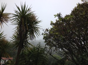 IMG_6376