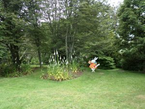 SAMSUNG CAMERA PICTURES