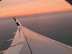 13626383_10154178136046638_2023755769182313289_n