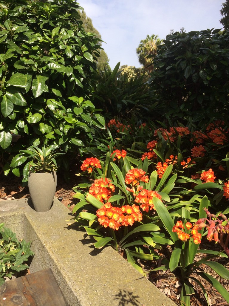 27C1BC8D-416A-4A12-BD55-3D1D9E737D1E