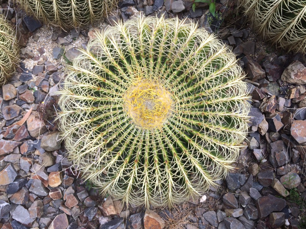 9A90852E-0370-4C32-B26D-4E18592C8121