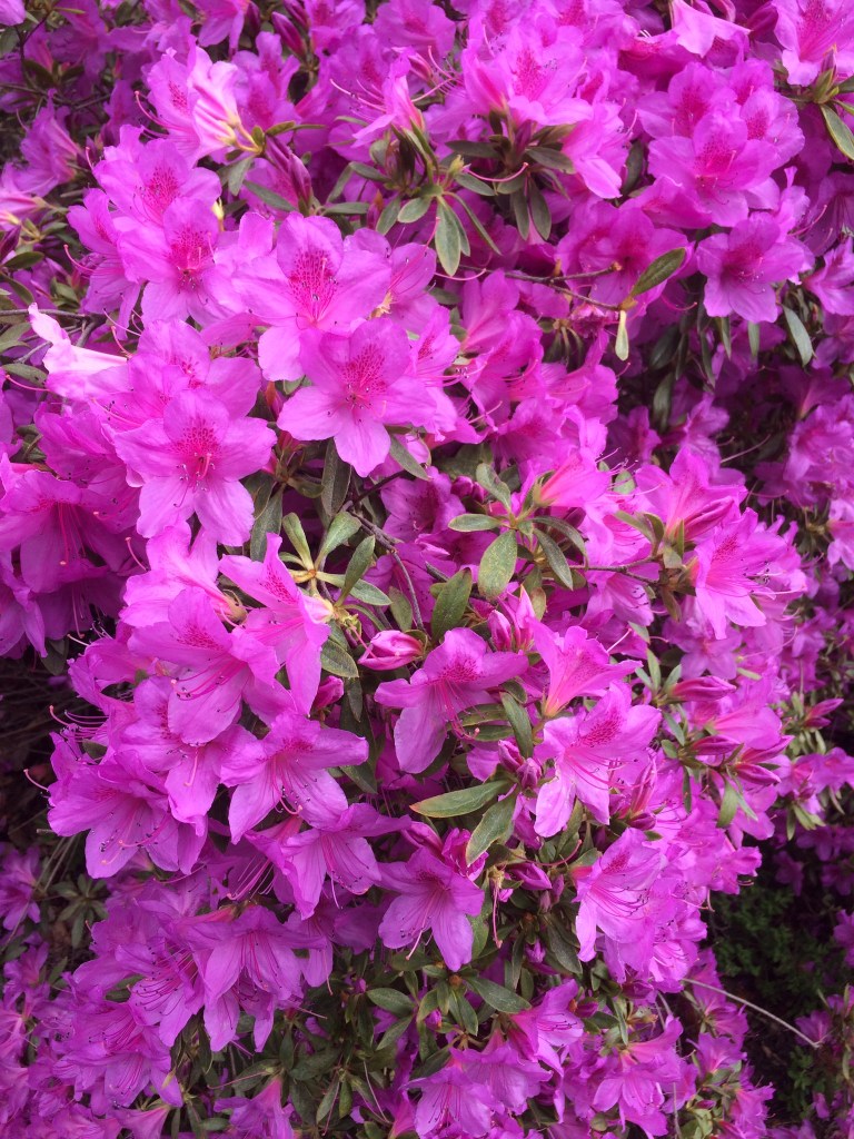 D12927BE-5376-452B-BDF4-B0921F4B5E17