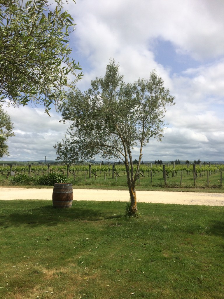 355BDB25-AE15-47CC-BD0E-81BAC061F9F9