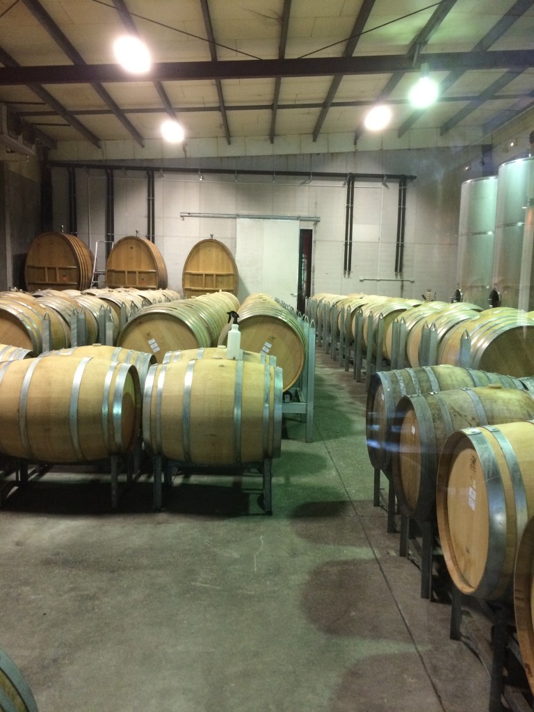 A2718BEE-2E5F-40D3-B9C2-CF1E272B7A24