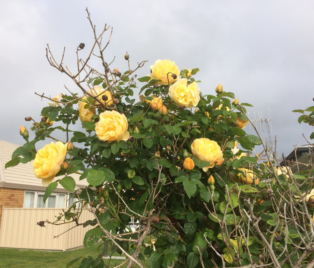 DCFD0928-FA11-4C94-BC6C-A2C825EB74D2