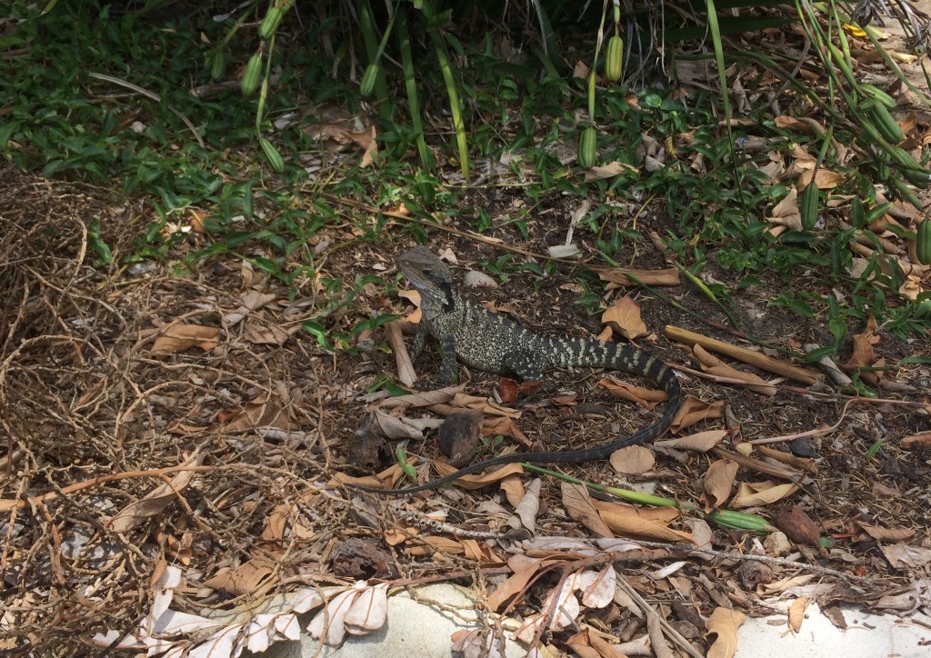 1E320B3B-90F0-4442-990C-B8F7B9D2928B