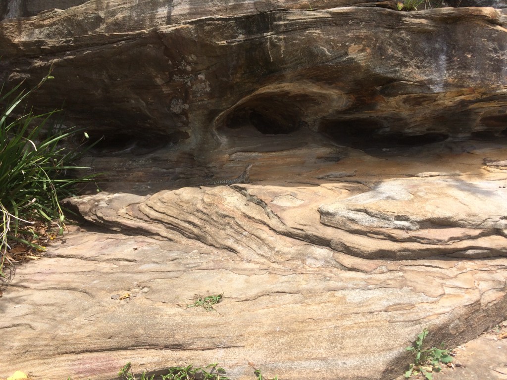 C1E3079A-4CE5-4ABE-A336-555F9698098A