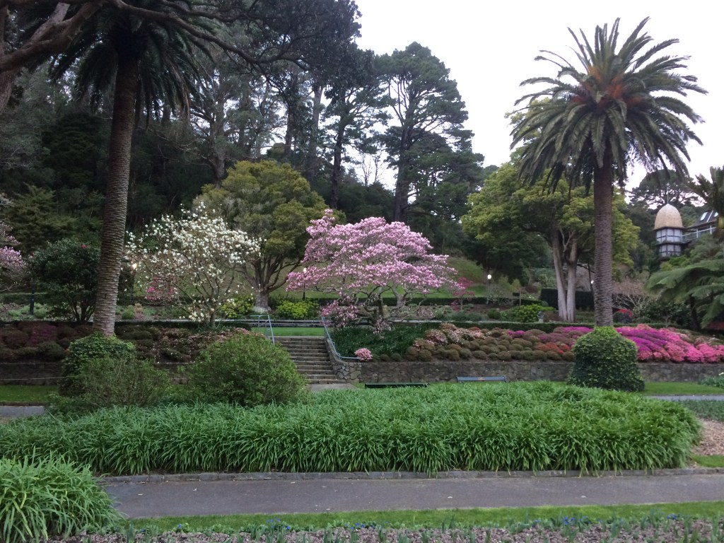 1C2492FE-AA1C-456A-A258-D006F6EAA5B0