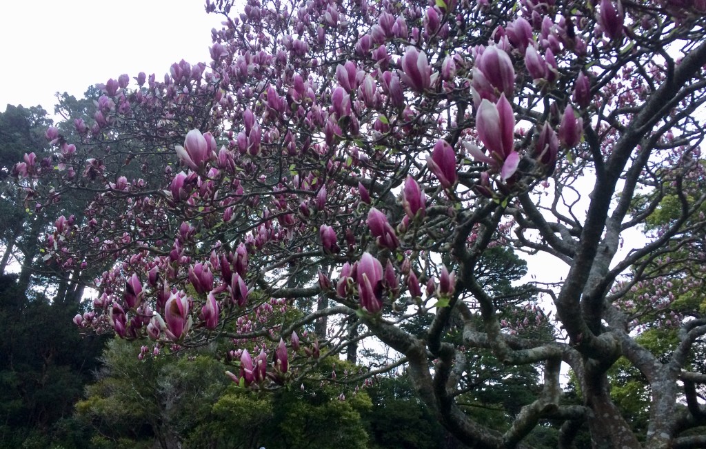 23E4A5B9-2D07-4508-86AA-25716889A26F