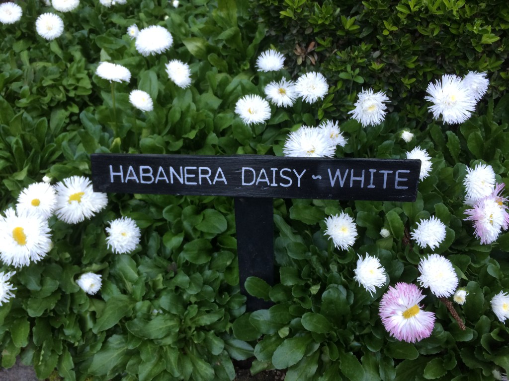 45961CC3-B841-4505-856F-C09EFDAA445D