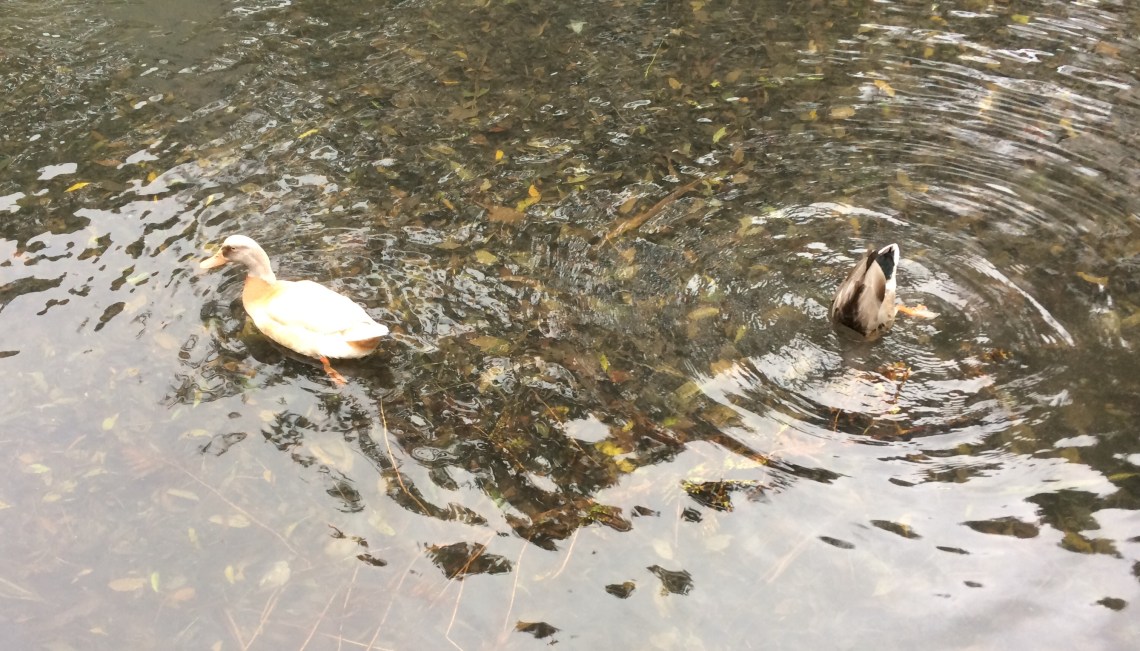 3B56D5B0-A83C-4514-B3F3-882AE43D1327