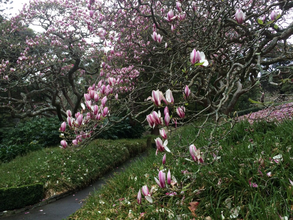 5CDA81E3-4903-46E3-92F9-42AEB1B3FFB7